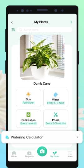 PictureThis - Plant Identifier