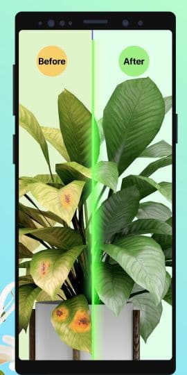 PictureThis - Plant Identifier