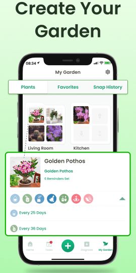 Plant Identifier App Plantiary